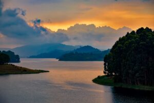 bunyonyi safaris