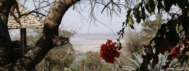 African Sunrise Lodge & Campsite