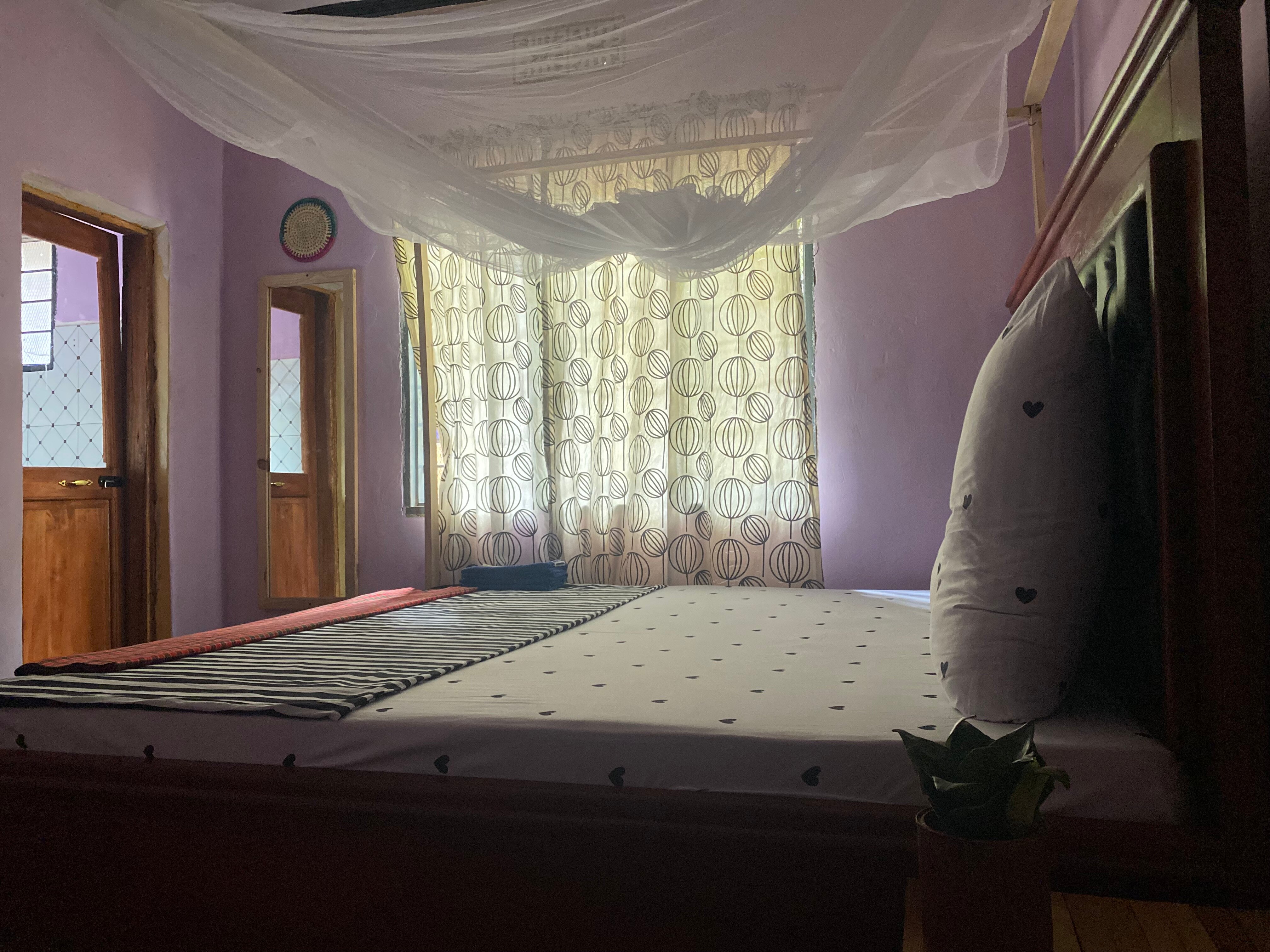 Ava Garden Backpackers