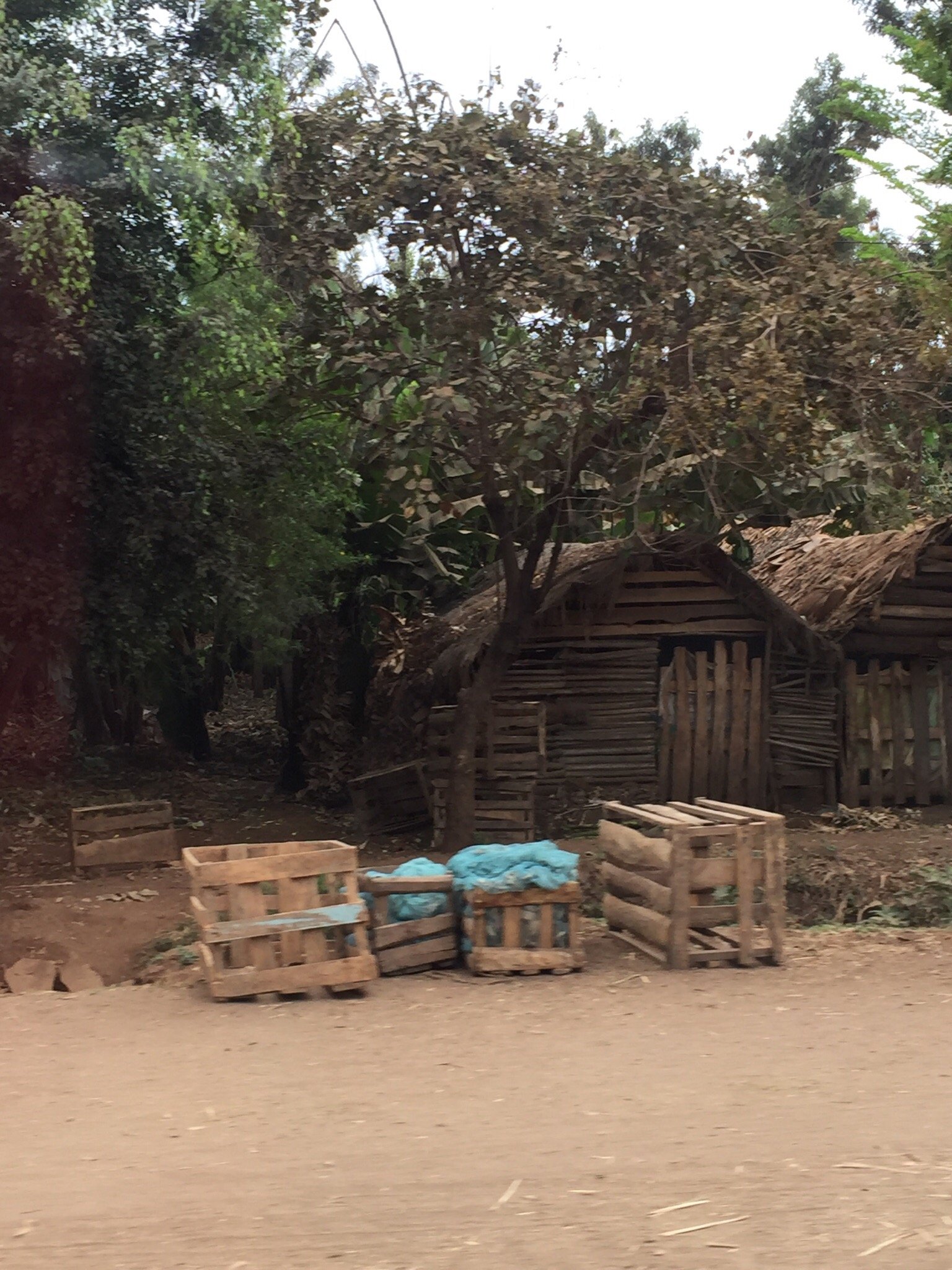 Fig Tree Lodge & Camp