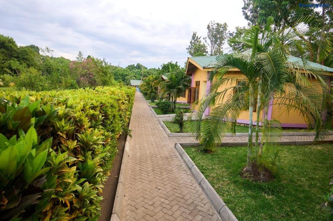 Green Parrot Campsite and Lodge
