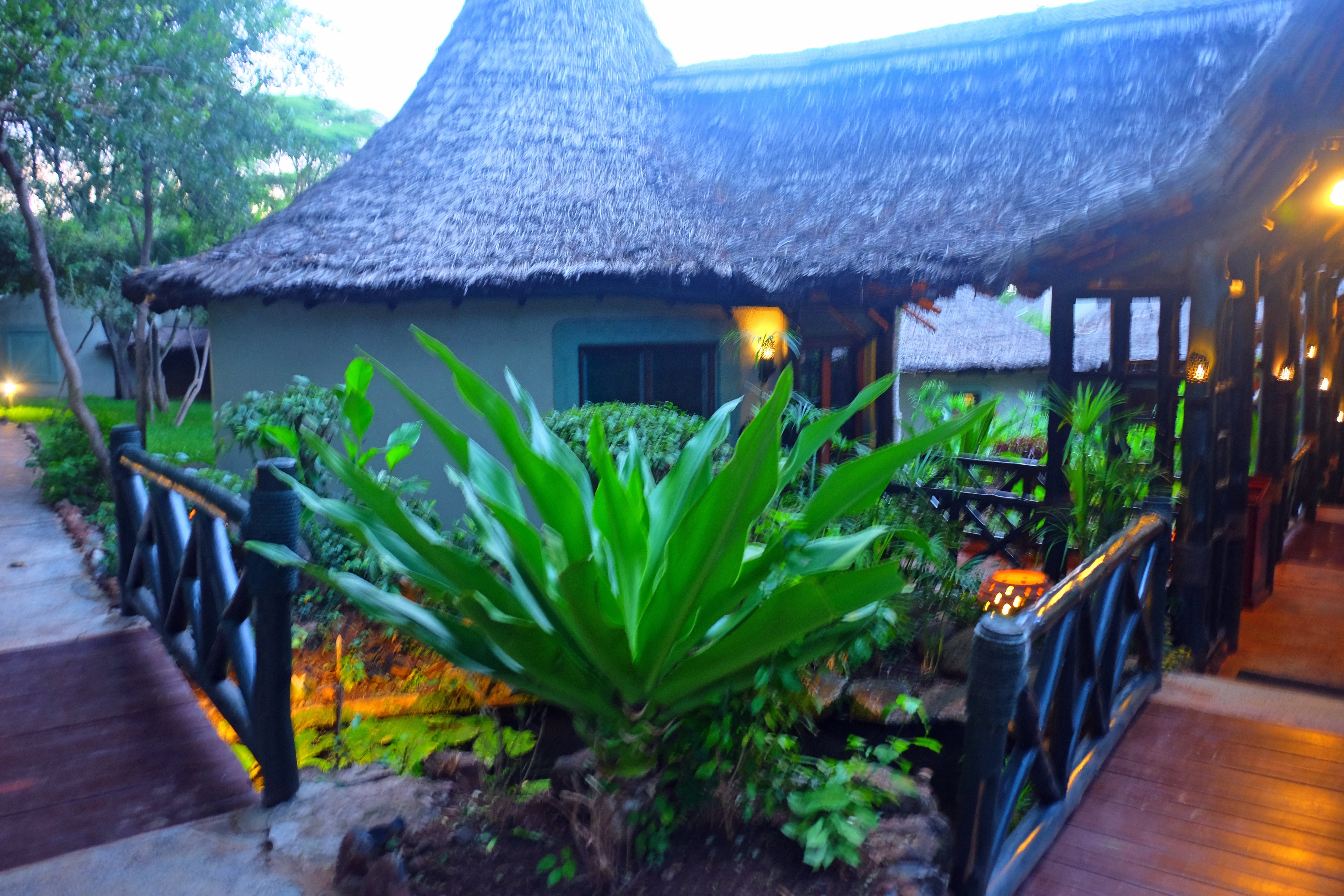 Lake Manyara Serena Lodge Review