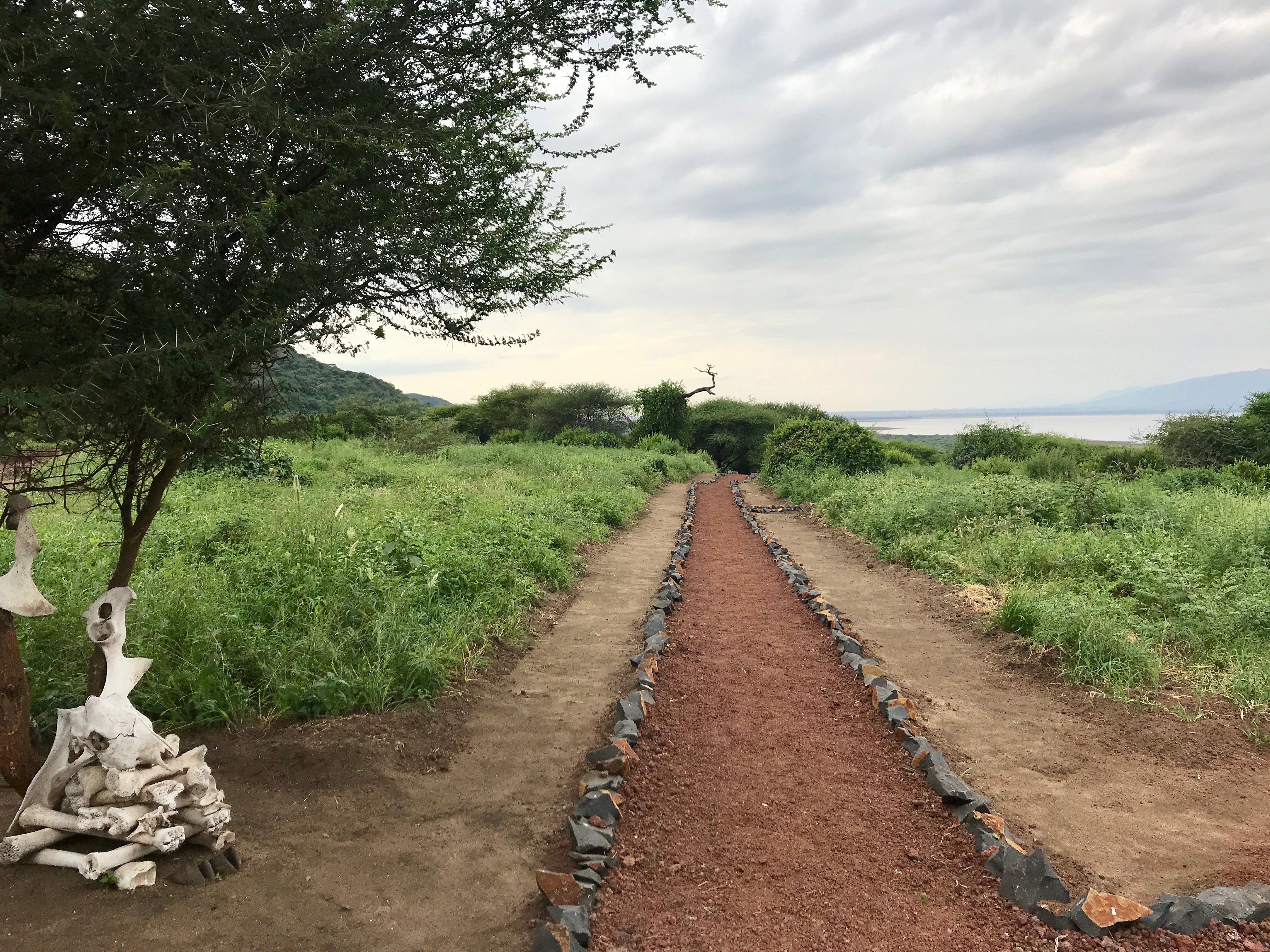 Lake Manyara Tortilis Camp