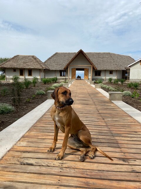 Manyara's Secret