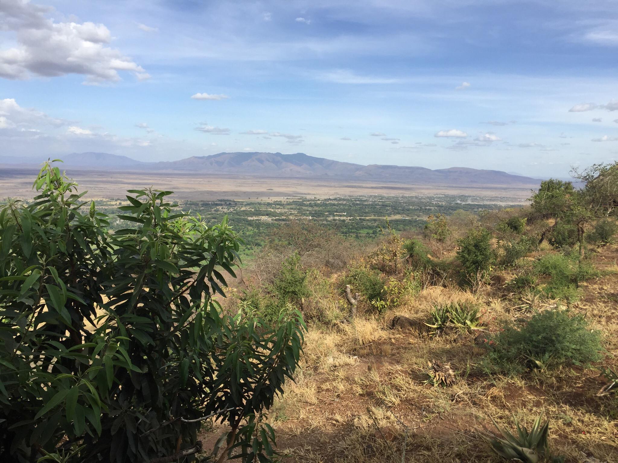 Lake Manyara Kilimamoja Lodge