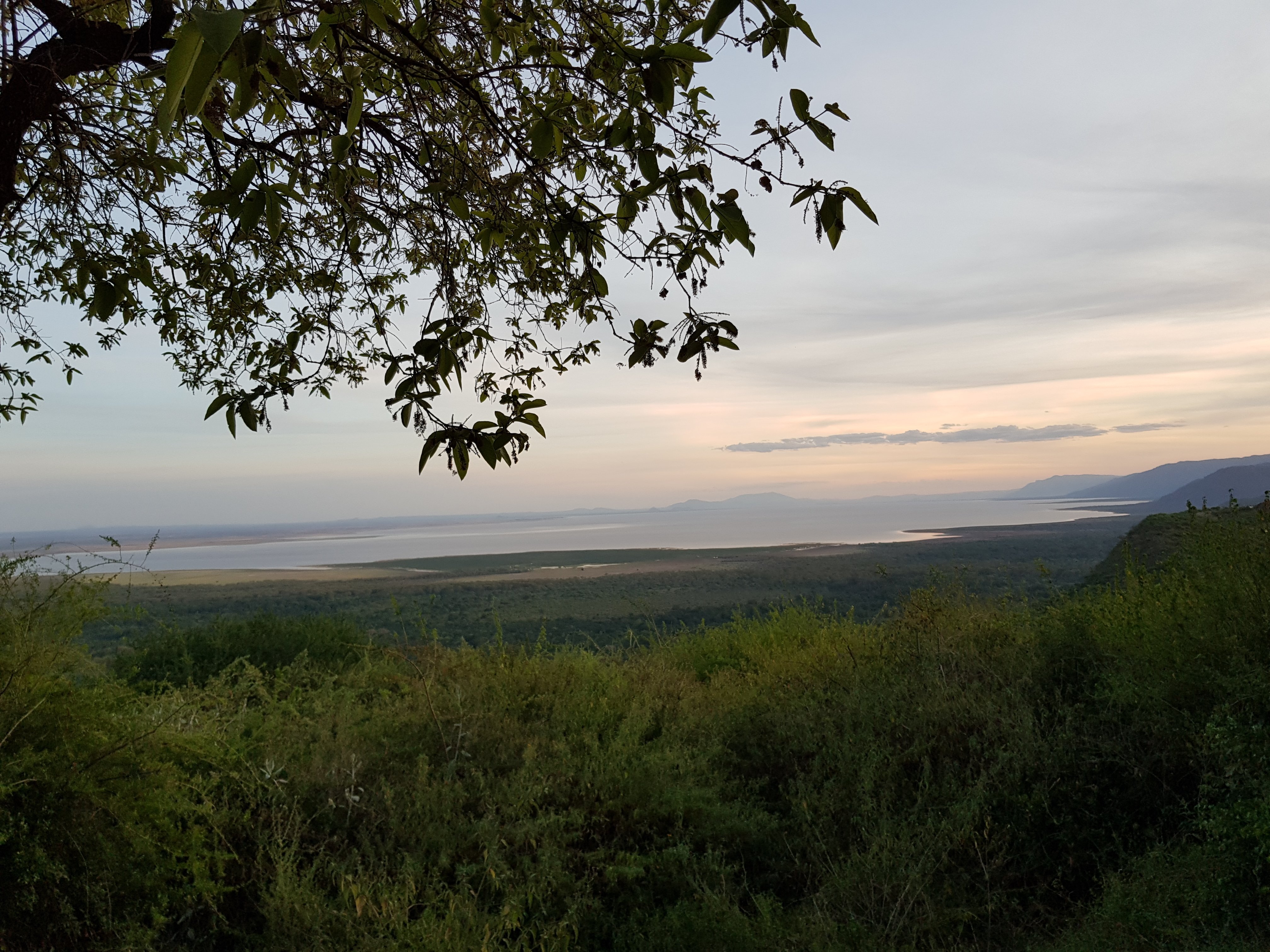 Landscape body water distance surrounded lush