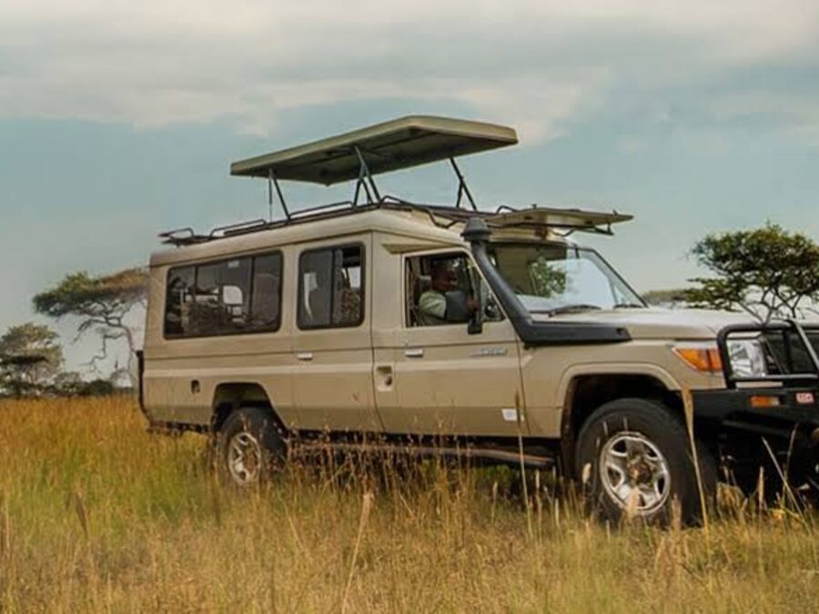 Lake Manyara Game Drive Guide