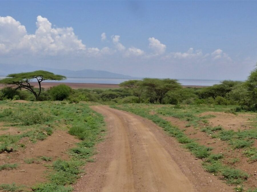 Lake Manyara Walking Safari
