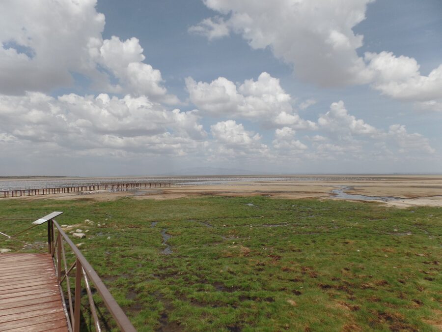 Lake Manyara Hot Springs