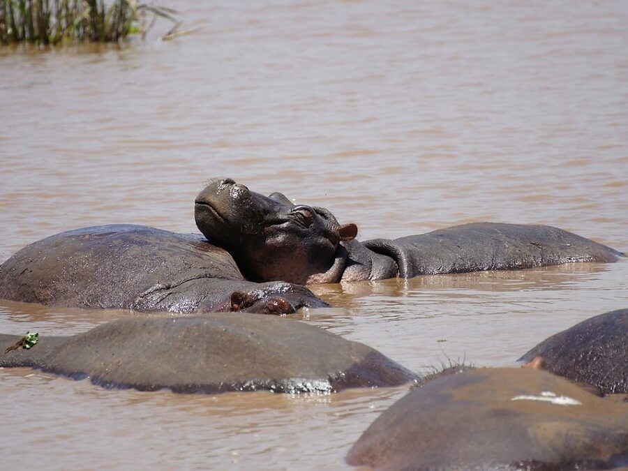 Lake Manyara Picnic Sites