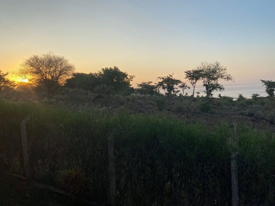 Lake Manyara Sunrise Safari