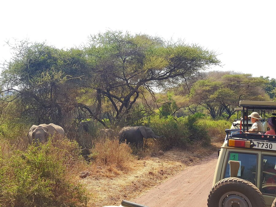 Best Time for Wildlife Viewing
