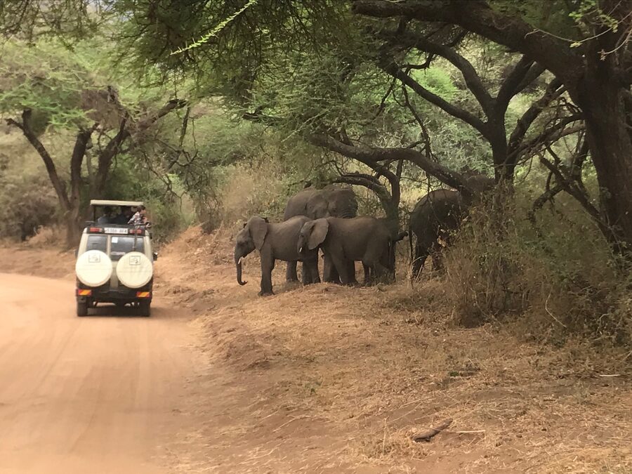 Things to Do in Lake Manyara