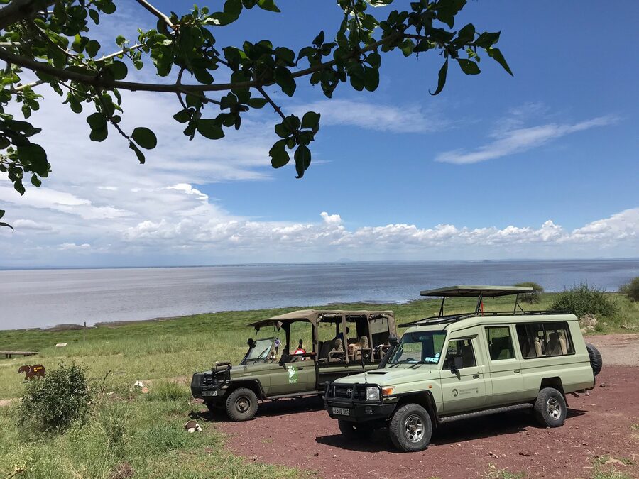 One-day Lake Manyara Itinerary