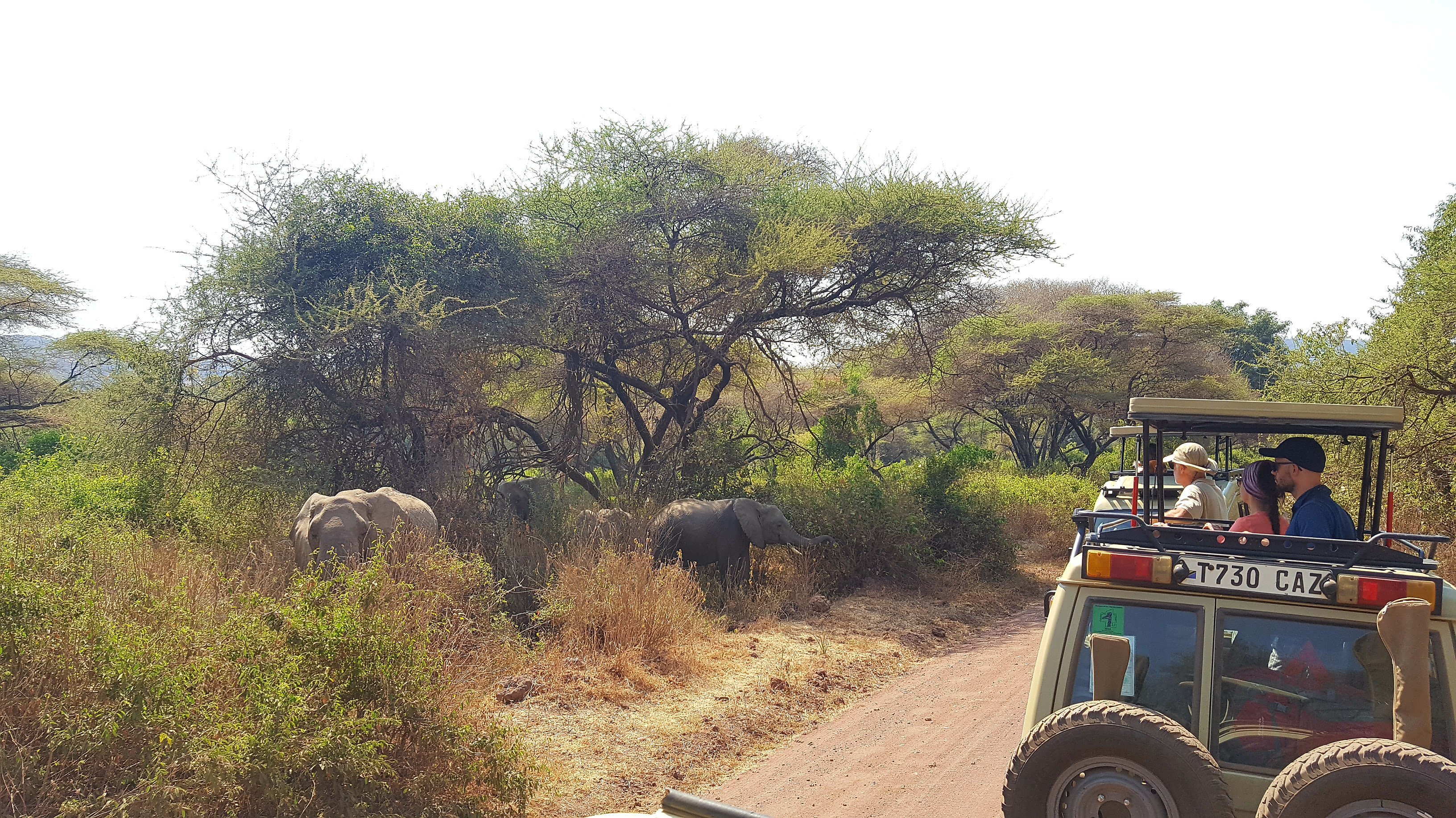 10-Day In-Depth Serengeti & Northern Circuit Safari
